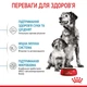 Корм Royal Canin Medium Starter сухой для щенят средних пород 1 кг - изображение 4
