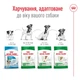 Корм Royal Canin Mini Ageing 12+ сухой для пожилых собак мелких пород 0.8 кг - изображение 5