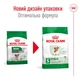 Корм Royal Canin Mini Ageing 12+ сухой для пожилых собак мелких пород 0.8 кг - изображение 6