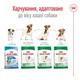 Корм Royal Canin Mini Adult 8+ сухий для старіючих собак дрібних порід 0.8 кг - зображення 6