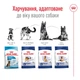 Корм Royal Canin Maxi Adult 5+ сухий для дорослих собак великих порід 15 кг - зображення 5