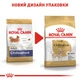 Корм Royal Canin Chihuahua Adult сухой для взрослых собак породы чихуахуа 1.5 кг - изображение 6