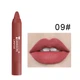 Помада Teayason Charming Matte Lipstick 09 - изображение 1