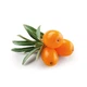 Обліпихова паста Liqberry, 550г LiQberry - зображення 2