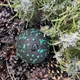 Массажный мяч PowerPlay PP-4350 Epp Massage Ball d8 Черно/Зеленый (PP-4350_Green_d8) - изображение 9