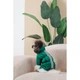 Комбінезон для собак Pet Fashion EGO ХS-2 - изображение 7
