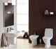 Унитаз-компакт KOLO RUNA L89208 с бачком и сиденьем дюропласт Soft Close - изображение 2