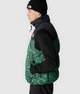 Жилетка The North Face 96 Retro Nuptse Green/Blue NF0A3JQQOSZ XXL - изображение 5