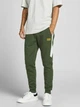 Спортивні штани Jack&Jones Whill Poula Зелений XL 12195312 - изображение 1