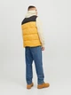 Безрукавка Jack&Jones Etoby Bodywarmer Colla Жовтий L 12235861 - изображение 2