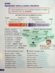 Великий зошит з української мови 4 клас. Посібник-практикум. НУШ - Іщенко О. - зображення 2