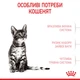 Корм Royal Canin Kitten Sterilised сухий для стерилізованих кошенят 2 кг - зображення 4