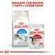 Корм Royal Canin Indoor сухой для котов живущих в помещении 0.4 кг - изображение 7