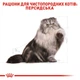 Сухий корм для перських котів Royal Canin Persian 4 кг - зображення 3