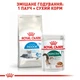 Корм Корм Royal Canin Indoor 7+ сухий для літніх котів що живуть у приміщенні 1.5 кг - зображення 6