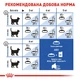 Корм Корм Royal Canin Indoor 7+ сухий для літніх котів що живуть у приміщенні 1.5 кг - зображення 8
