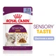 Корм Royal Canin Sensory Taste Jelly влажный для привередливых котов 85 гр - изображение 2