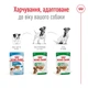 Корм Royal Canin Mini Adult вологий для дорослих собак малих порід 85 гр - зображення 4