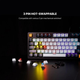 Игровая клавиатура Fantech ATOM96 MK890V2 Blue Switch с проводным подключением и механическими клавишами, RGB подсветка в светло-синем цвете. - изображение 1