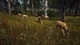 Way of the Hunter (PS5) - изображение 5