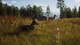 Way of the Hunter (PS5) - изображение 7