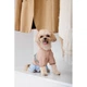 Дощовик Pet Fashion Tina для дівчаток розмір S бежевий/блакитний PR243515 - изображение 5