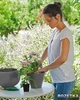 Горщик для квітів Keter Cozies-M (7290106927841_Grey) - зображення 3