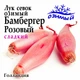 Лук севок озимый Бамбергер Розовый Голландия 0,5 кг - изображение 1