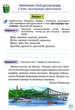 Мои достижения. Украинский язык 4 класс НУШ - Катерина Пономарева - изображение 3