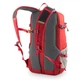 Городской рюкзак Pinguin Step 24 2020 Red (PNG 326130) - изображение 2