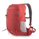 Спортивный рюкзак Pinguin Ride 25 2020 Red (PNG 308136) - изображение 1