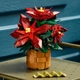 Конструктор LEGO Botanicals Молочай-рождественник 608 деталей (10370) - изображение 7