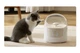 Автоматическая поилка-фонтан CATLINK AI Water Fountain - Pure 1 - изображение 5