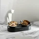 Годівниця PETKIT Fresh Nano Metal 15° Adjustable Cat Feeding Bowl (P5201) (P5201) - изображение 5