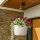 Вазон Lechuza Cottage Nido 35 Белый (15290) (4008789152909) - изображение 6