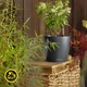 Вазон Lechuza Classico Color Eco 18 Темно-серый (18905) (4008789189059) - изображение 6