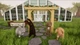 Ключ активации Bunhouse для Xbox One/Series S/X - изображение 6