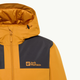 Kurtka zimowa męska sportowa Jack Wolfskin Jasper Ins Jkt M A61872_M0043 2XL Pomarańczowa (4064886336154) - obraz 13