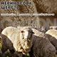 Носки Naturehike Merino Wool 2022 L 35-39 шерстяные сoffee - изображение 2
