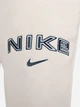 Спортивные штаны на флисе женские Nike W Nsw Phnx Flc Mr Std Logo Pnt HM9757-104 S Бежевые (197599700982) - изображение 7