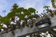 Kinkiet solarny z czujnikiem Lutec Arrow LED 2.3W 5000K 180lm IP44 (6939412046402) - obraz 6