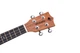 Електроакустичне укулеле Alfabeto MAHOGANY UCM23EQ - зображення 5