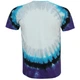 Футболка Liquid Blue Led Zeppelin - Swan Song (Tie-Dye), Розмір L - изображение 2