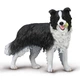 Бордер-коллі з м'ячем Collecta 80012 - изображение 1
