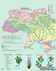 Атлас Картографія Фізична географія України 8 клас (1061) - зображення 2