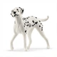Центр верхової їзди Пеппертрі Schleich 42639 - изображение 5