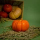 Аромасвеча Тыква 4 Seasons Candles 200 мл - изображение 1