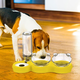 Двойная миска с поилкой для котов и собак желтая - изображение 3