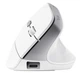 Бездротова миша TRUST Bayo II Ergonomic Wireless Mouse - White Bayo II Ergon Wireless — білий 282523 - изображение 2