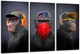 Модульная картина Три обезьяны "Gangster Monkey" Art-480_3 (53х100см) - изображение 1